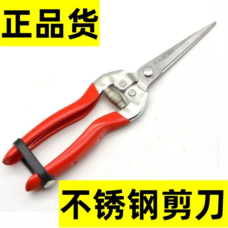 进口不锈钢采果剪修枝剪刀花椒葡萄采摘剪摘果剪刀疏花疏果专用剪