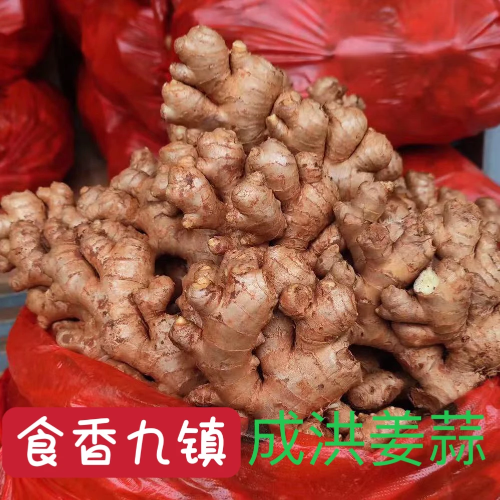 品牌 食香九镇云南红土小黄姜农家土姜高山老生姜黄肉姜月子姜