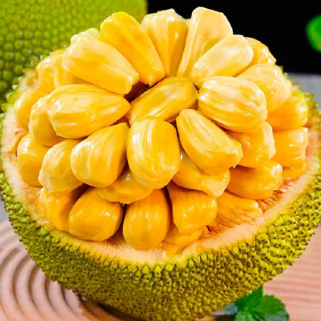 菠萝蜜！！回家困困在吃！嘎嘎甜，1个10-13斤热带水果