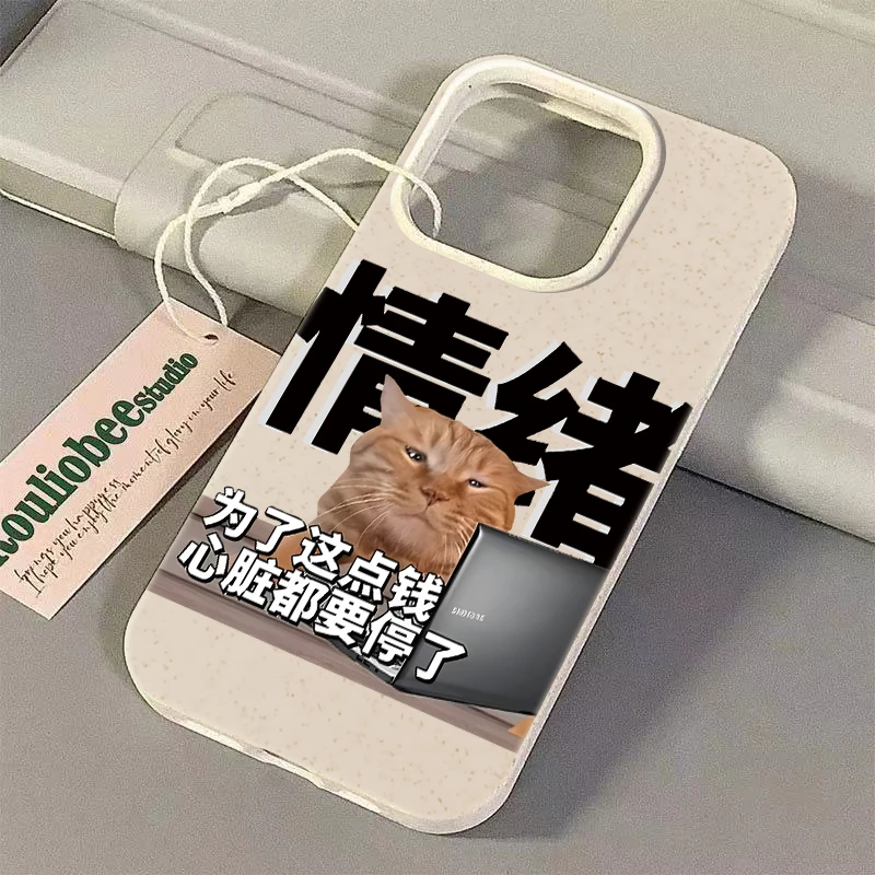 这点钱苹果15/14/13小麦款新年潮牌创意防摔软胶新款男xs/xr软壳