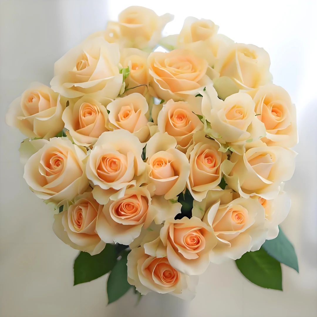 【香槟玫瑰】10支鲜花鲜切花好养玫瑰鲜花速递配送