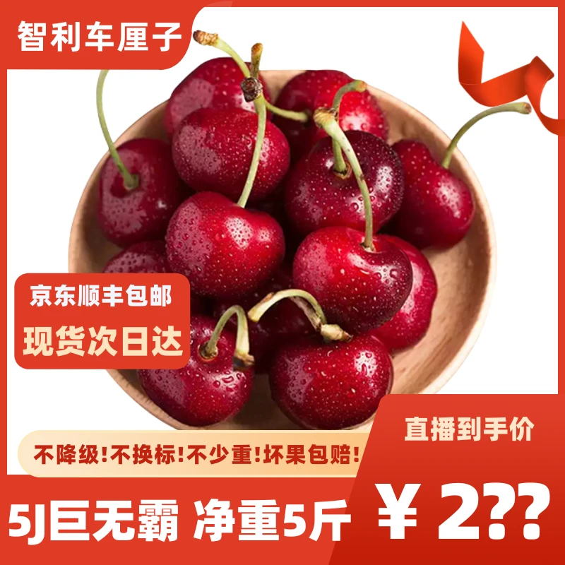Lapins 进口智利车厘子新鲜水果包邮 5斤5J 顺丰京东粉丝专属