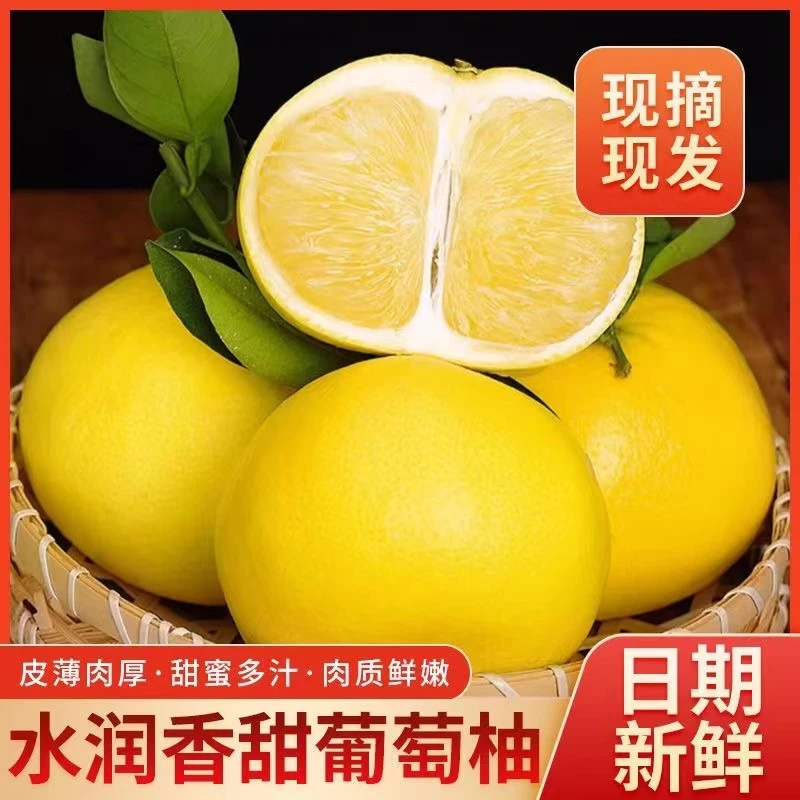 （现摘现发）清甜福建黄金葡萄柚清甜香甜新鲜果粒5/8/10斤单果500g