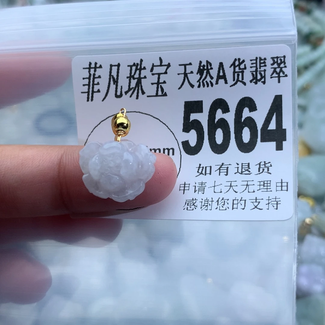 翡翠颈饰未镶嵌5664。