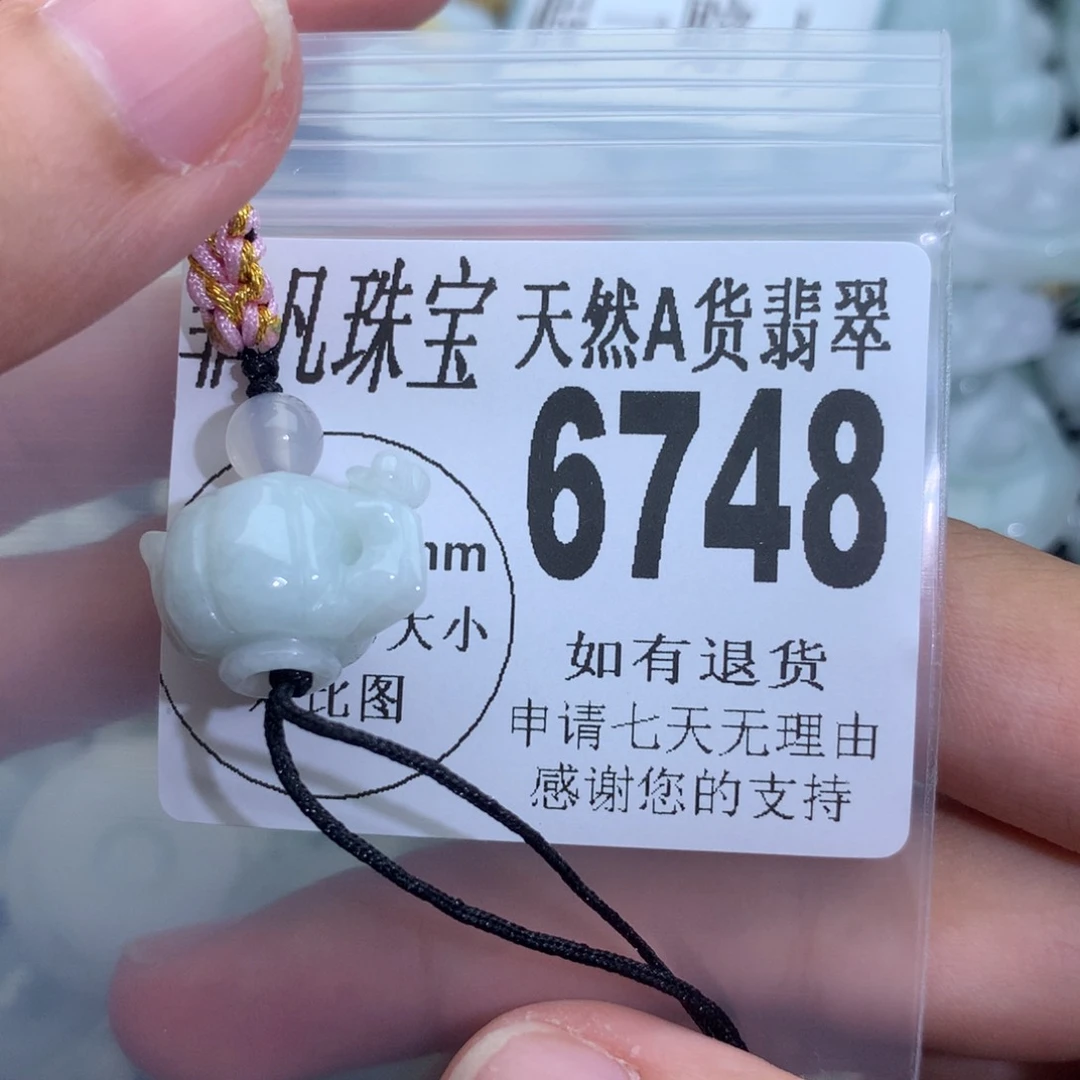 翡翠颈饰未镶嵌6748。