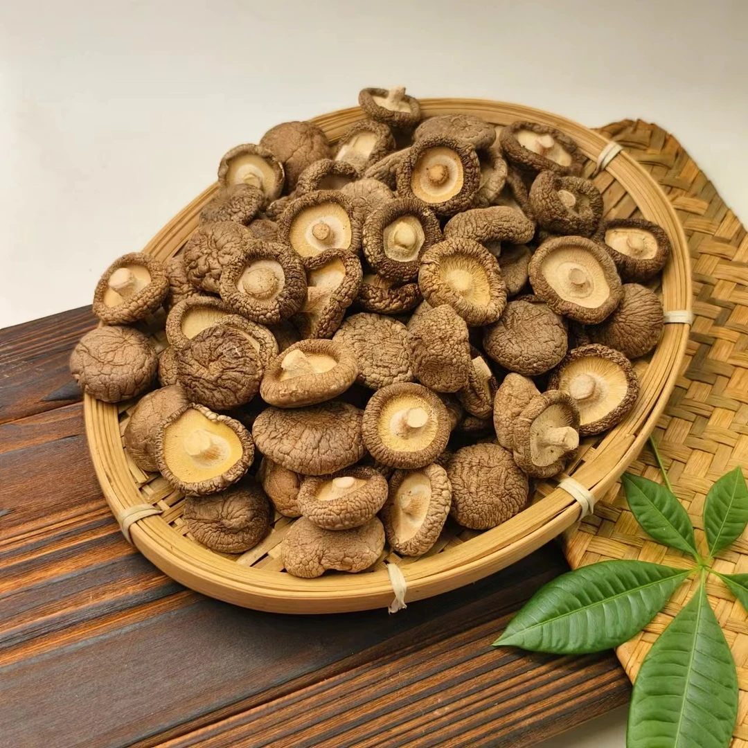 【云南小香菇】新鲜食用浓郁肥厚营养美味 产地直销规格 100克/袋