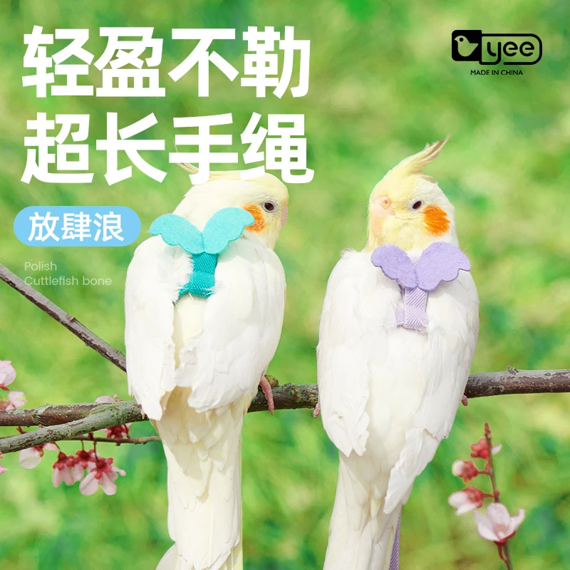YEE养宠装备鸟用鹦鹉放飞绳玄凤虎皮牡丹牵引绳飞行外出背带遛
