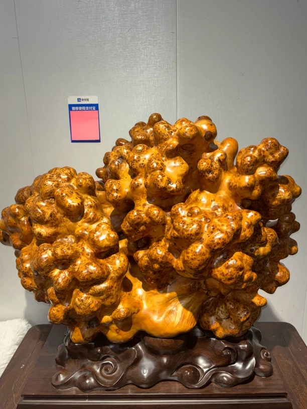 南太行黄金底满瘤花（金玉满堂）大型摆件，高端大气上档次！
