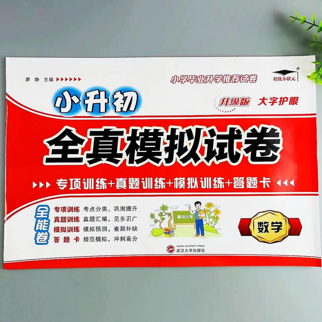 小升初数学必刷题全真模拟试卷毕业总复习押题数学专项真题测试卷