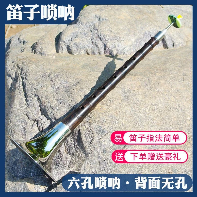 六孔唢呐乌木乐器全套6孔笛子唢呐成人儿童入门降调大中小号