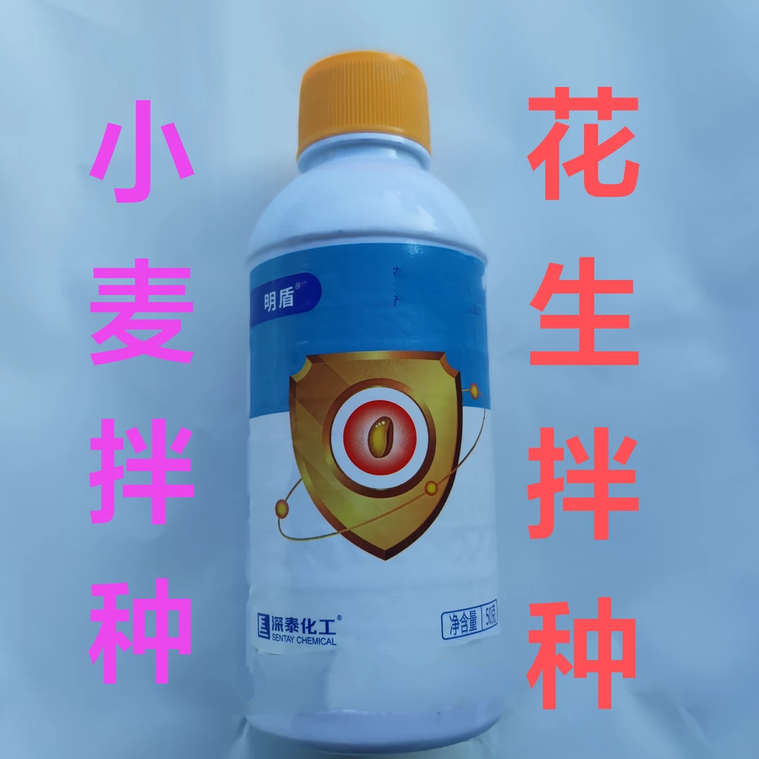 明盾苯.咯.噻拌种子包衣