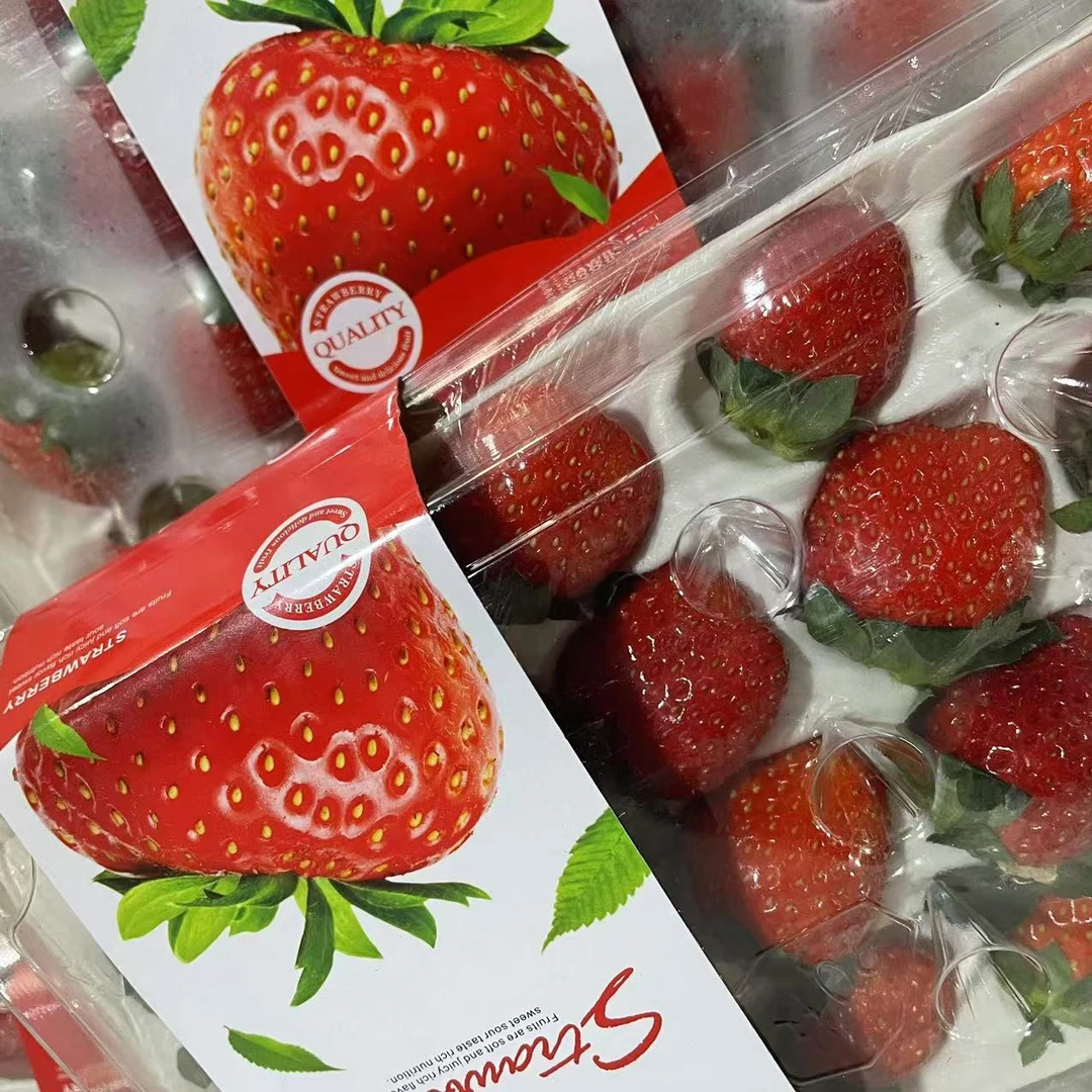 25  丹东红颜草莓 香甜可口 两盒装 【只发河南省】