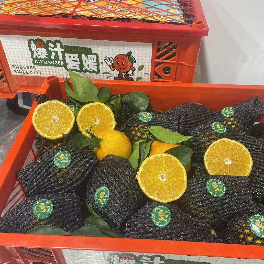 2 爱媛果冻橙  果肉细腻  粒粒爆汁  整箱【只发河南省内】
