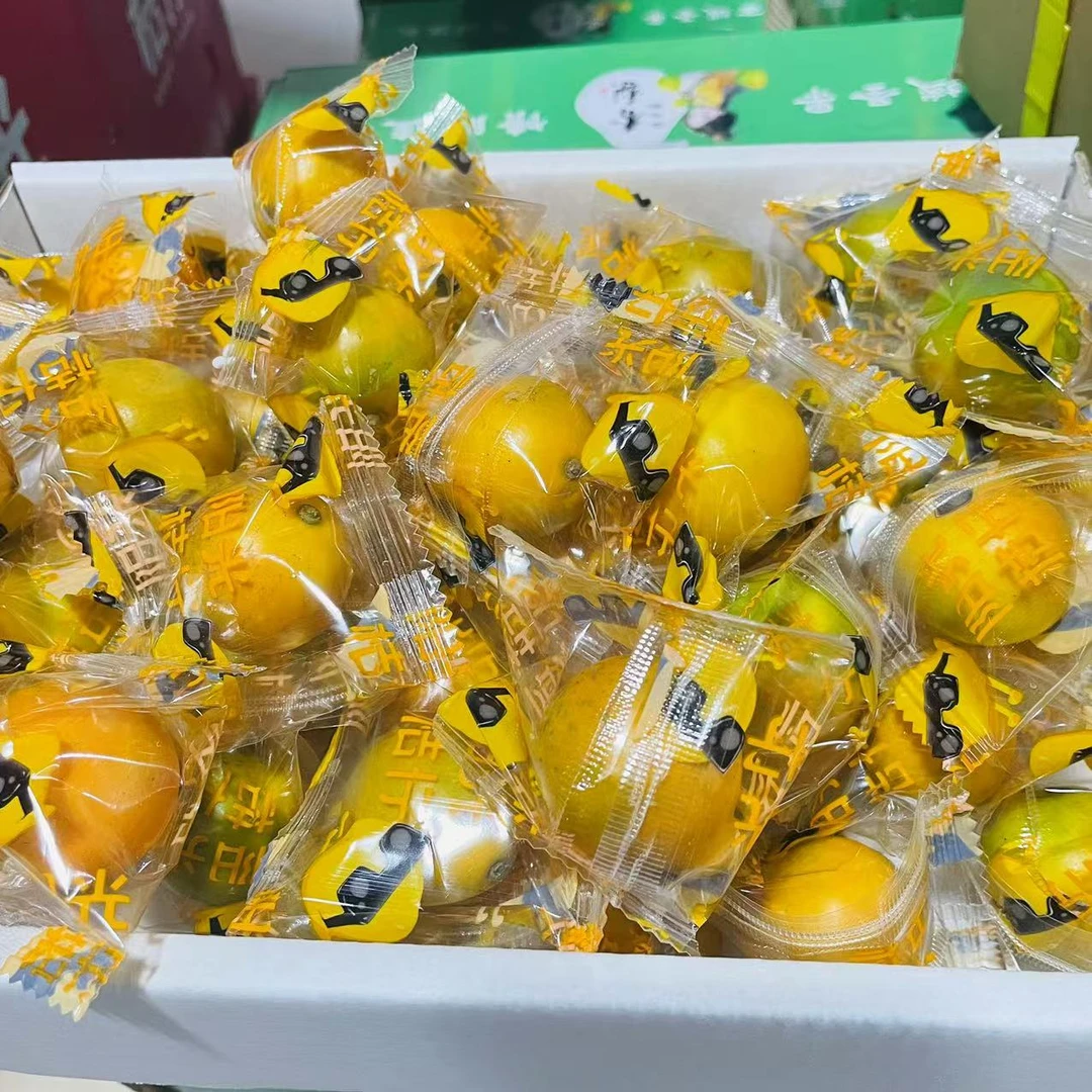 6 滑皮金柑 净重1.7斤左右 【只发河南省】