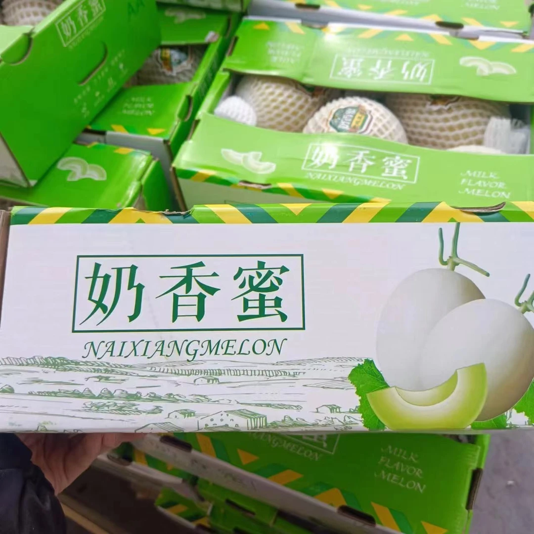 33 海南奶香蜜甜瓜 软糯香甜 毛重14斤【只发河南省内】