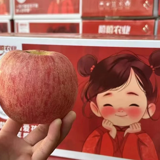 19 爆汁羊奶苹果   口感松脆  脆甜奶香 净重7斤左右【只发河南省】