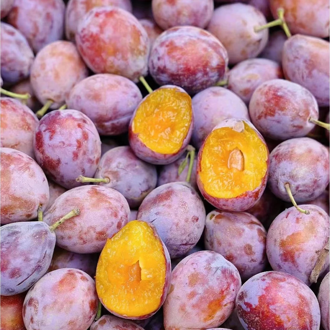 8 新疆法兰西西梅 果肉饱满  净重4斤【发河南省内】