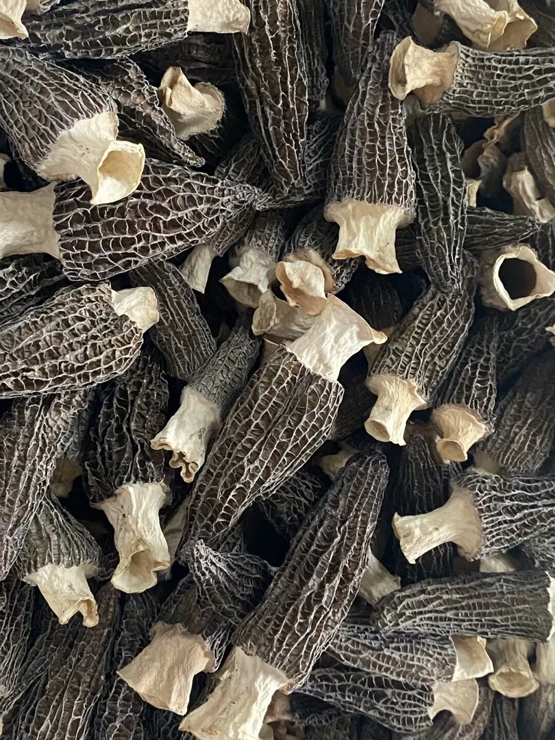 【二妹羊肚菌】头茬菌菇 大个肉质肥厚 产地直发炖鸡煲汤