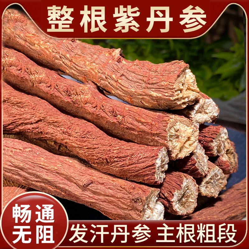 丹参的功效和作用十年整根紫丹参条非中药材白花丹叁山东莱芜