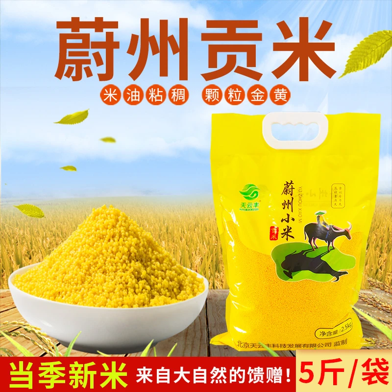 蔚县黄小米5斤*1袋/新小米粥小米饭农家粗粮杂粮米河北张家口特产