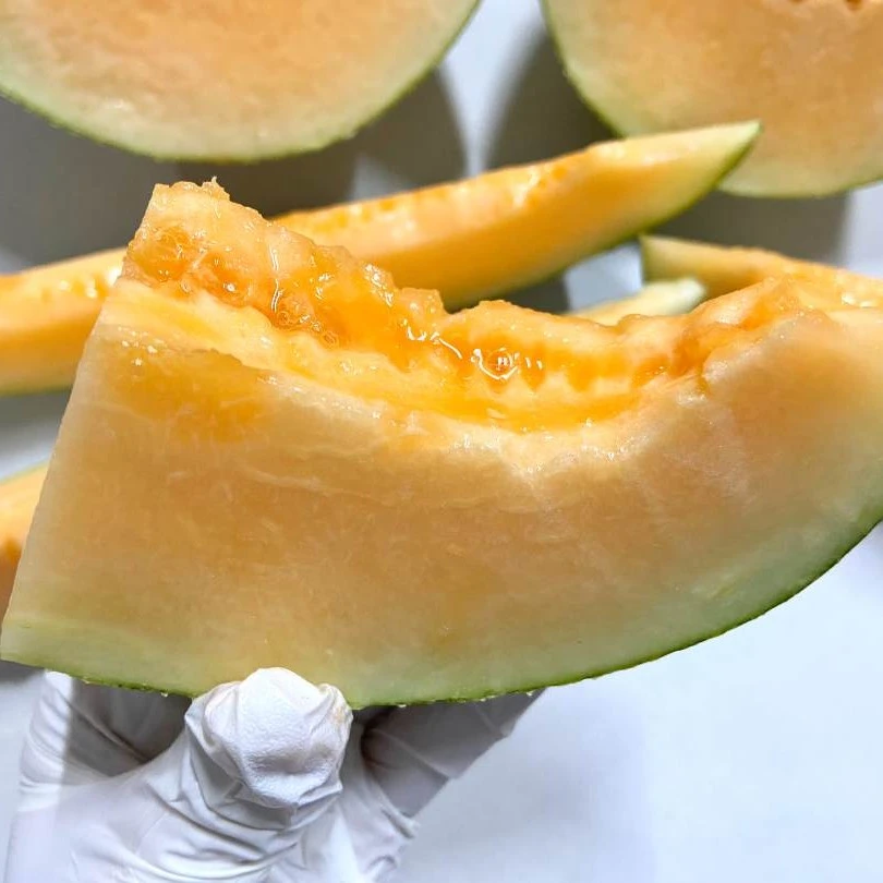 精品哈密瓜 很甜 很多汁 口感爽脆 2个7斤多 深圳当日达