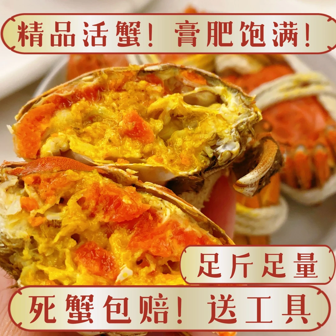 鲜活大闸蟹  送工具 送醋   4.6-4.9两公蟹 4只/8只