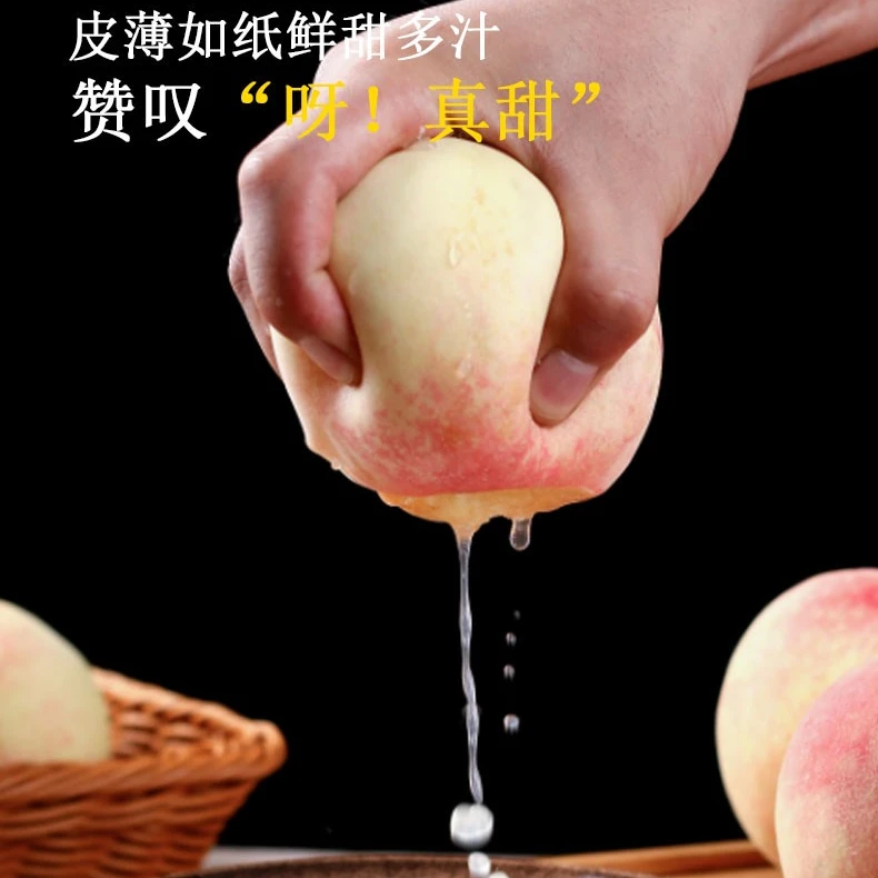 正宗无锡白凤水蜜桃皮薄鲜嫩爆汁现摘现发6-7两6个装端午送礼佳品