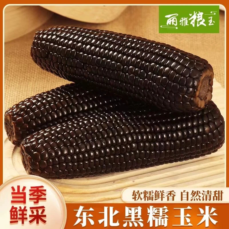 头茬东北黑糯甜玉米8支+试吃2支（到手整箱共10支*250g）