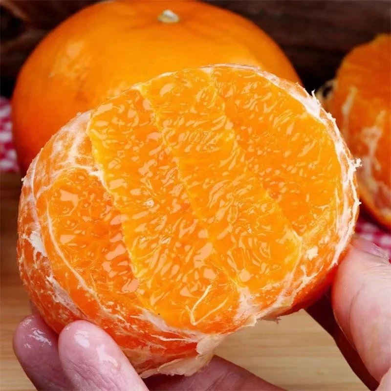 云南高原沃柑新鲜水果桔子纯甜橘子当季薄皮柑橘整箱大果产地直发