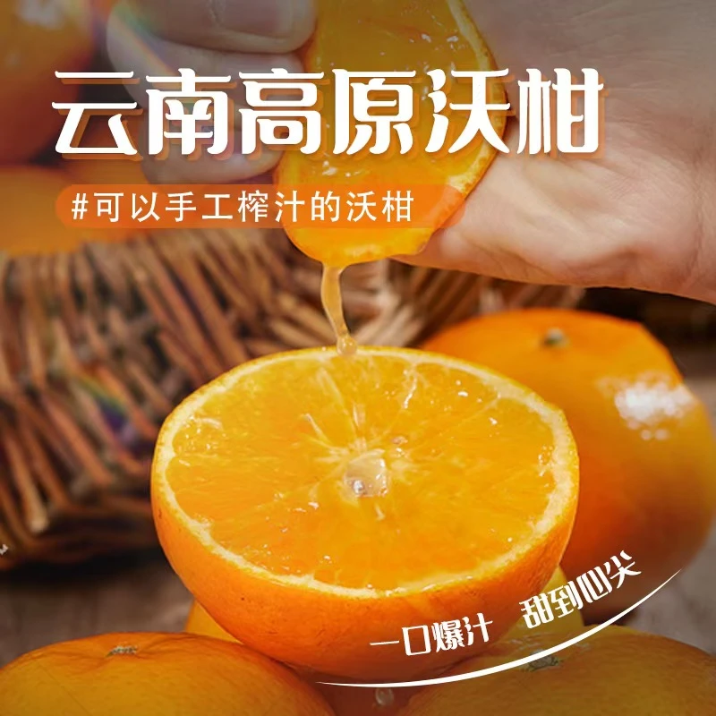 云南哀牢山沃柑新鲜水果纯甜桔子当季薄皮橘子坏果包赔