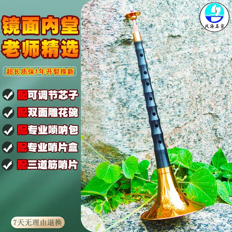 唢呐乐器专业镜面堂降b调学校初学者D调大中小号成人学生考级通用