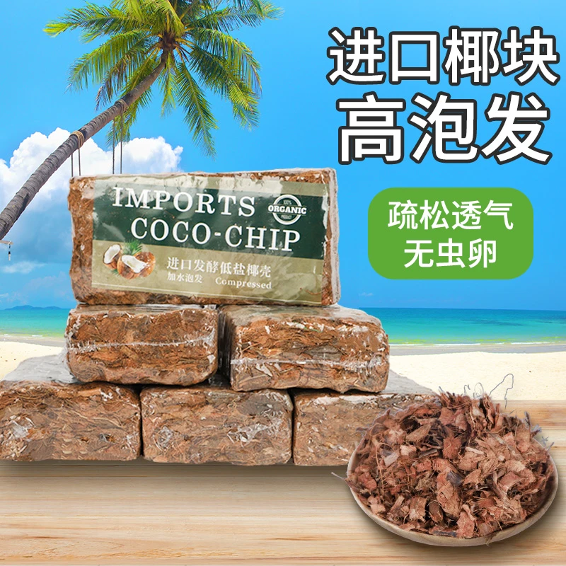 兰花专用营养土小椰壳砖粗椰糠养花用国兰石斛植料粗椰块压缩椰砖