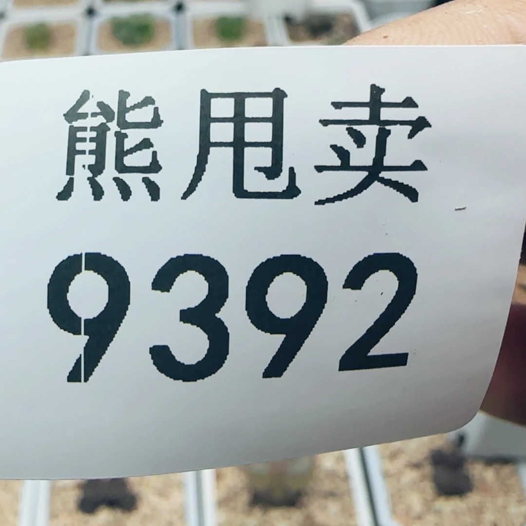 【闪购商品】一**物9392