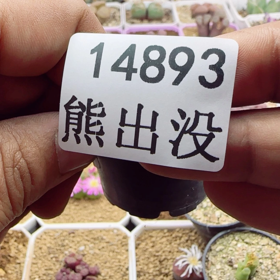 【闪购商品】发****在14893