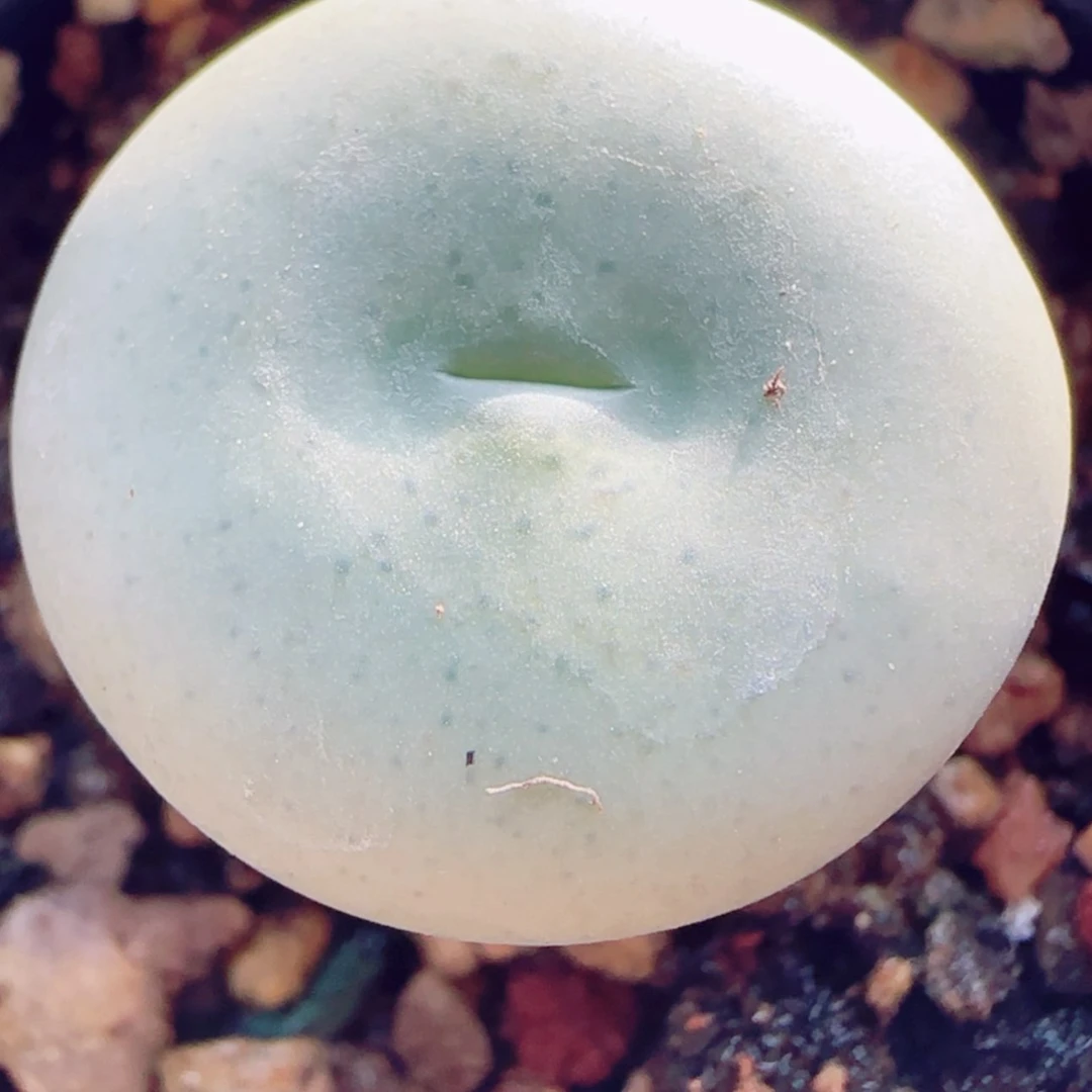 【闪购商品】14221