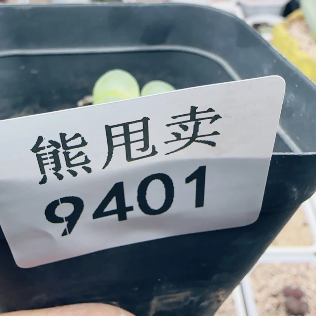 【闪购商品】小*9401