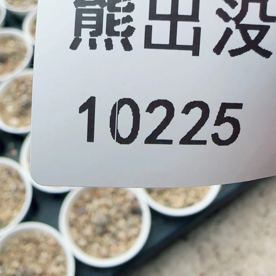 【闪购商品】真****警10225