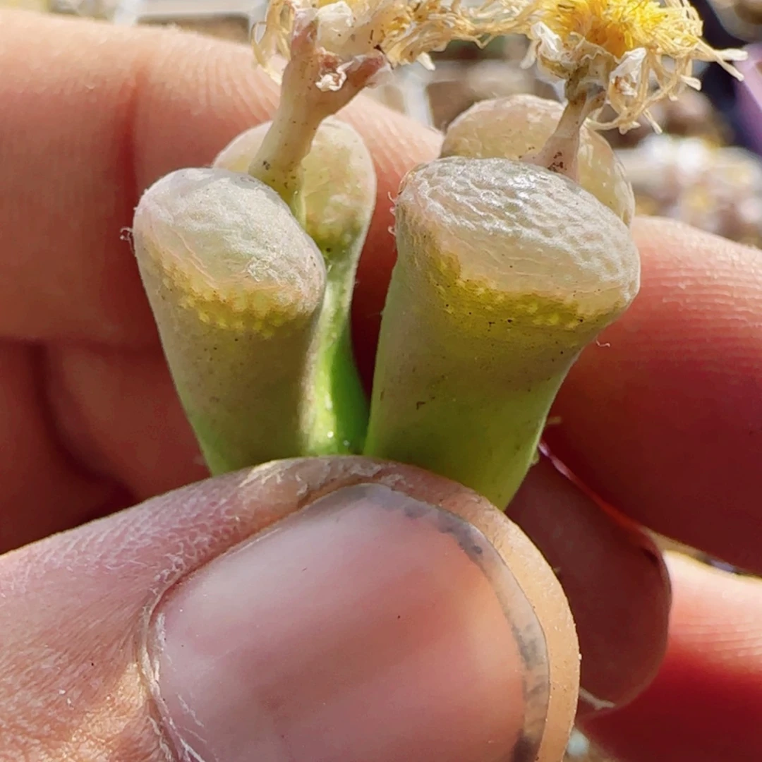 【闪购商品】14225