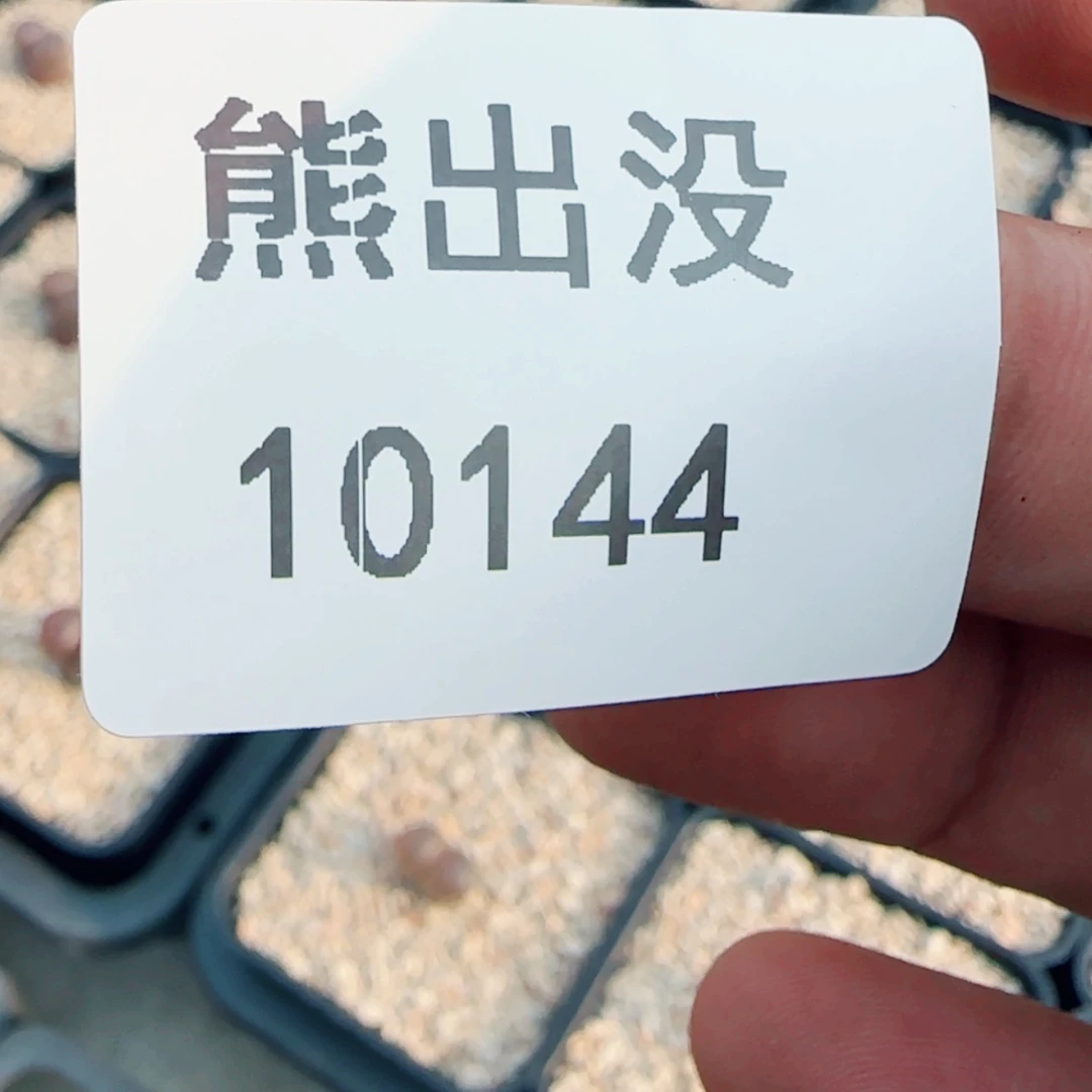 【闪购商品】小*10144