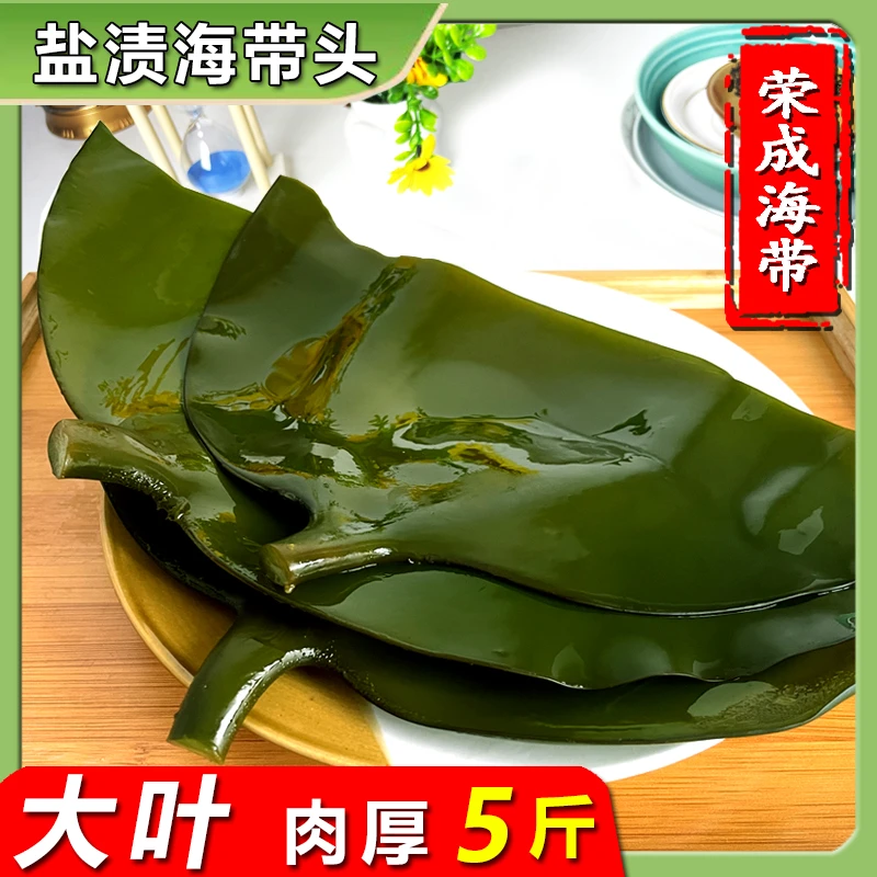 威海荣成新鲜盐渍海带头片根条火锅食材凉拌5斤整箱商用批发