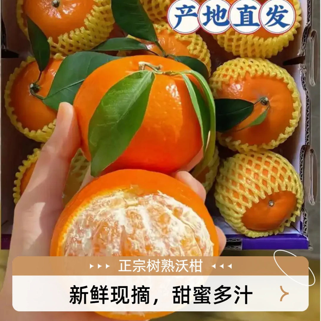 正宗武鸣沃柑香甜多汁当季现摘水果新鲜健康产地直发榨汁特大柑橘