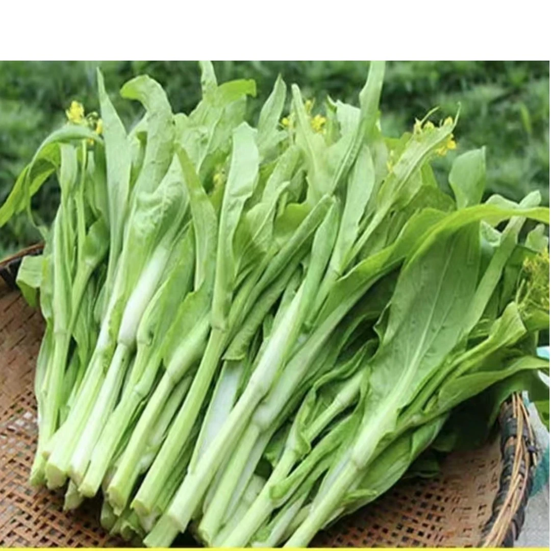 【耒阳同城闪送】农家白菜苔500g/份