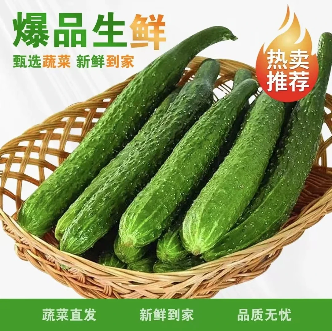 【耒阳同城闪送】黄瓜 约500g