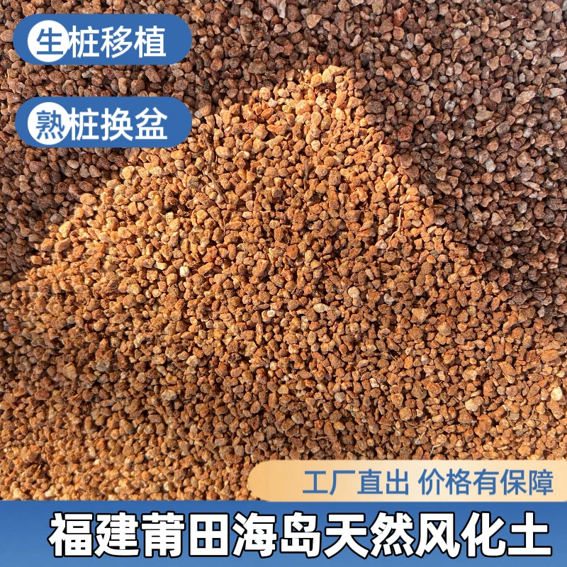 风化土比肩赤玉土盆景硬质多肉专用土兰花铺面颗粒土种花盆栽通用