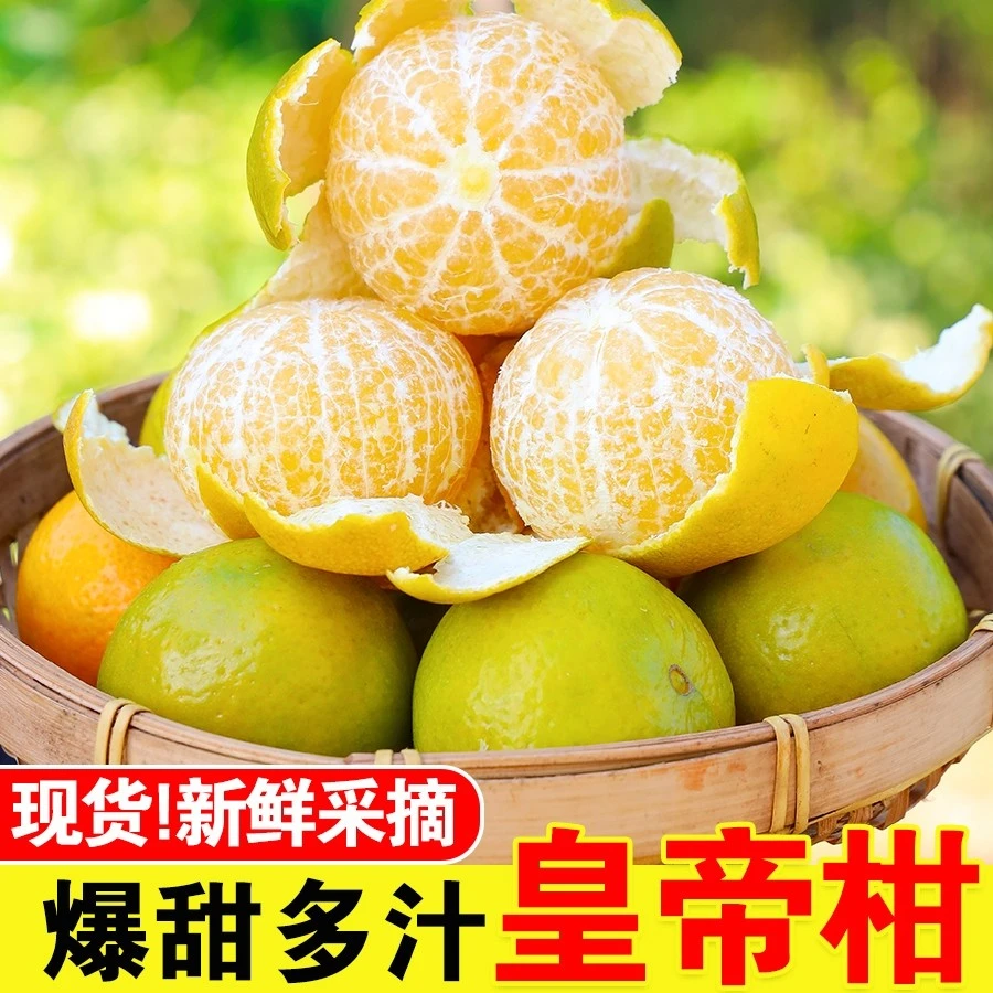 现摘广西皇帝柑贡柑9斤/5斤新鲜水果鲜甜多汁