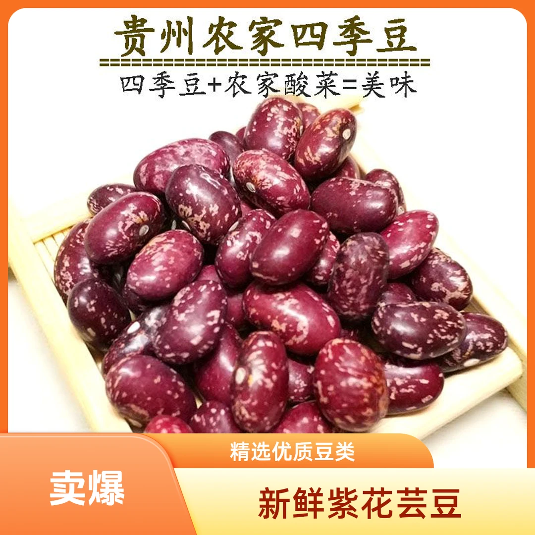 贵州农家特产四季豆红花芸豆新豆新四季豆酸菜豆米花豆散装包邮