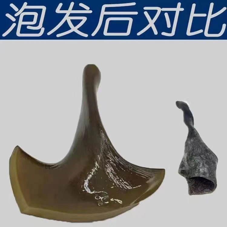 正宗霞浦厚海带头干货海带根厚实优质海带梗海带丝干海带凉拌煲汤