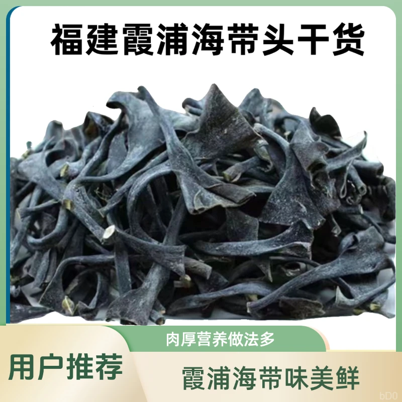 海带头 肉厚鲜美营养好 煲汤凉拌做法多霞浦海带根美味鲜嫩味美