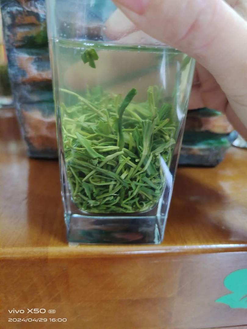 2024保康雨后炒青绿茶