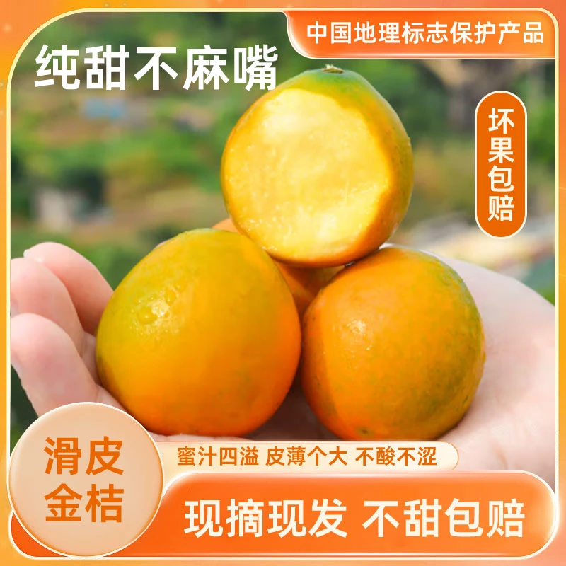 正宗广西融安二代滑皮金桔 新鲜水果 纯甜无酸 少核金桔
